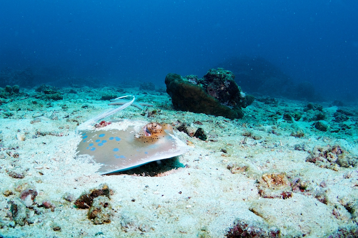 Bida Nok Island photo 2