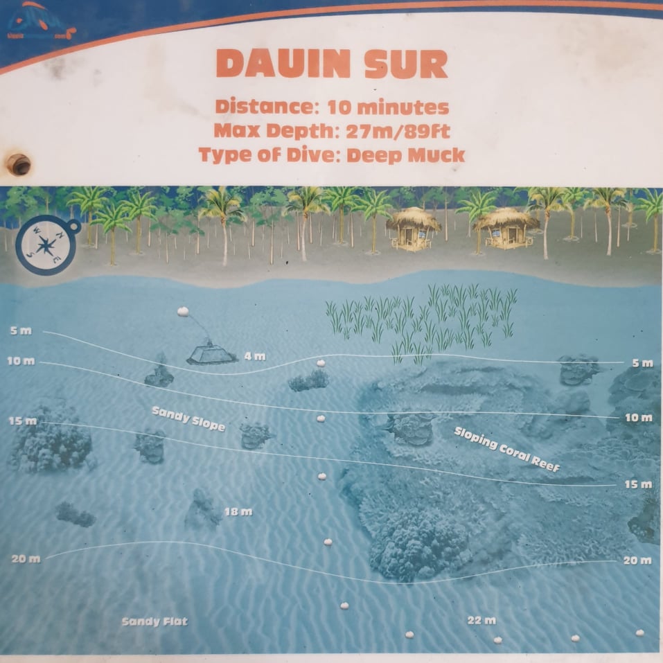 Dauin South