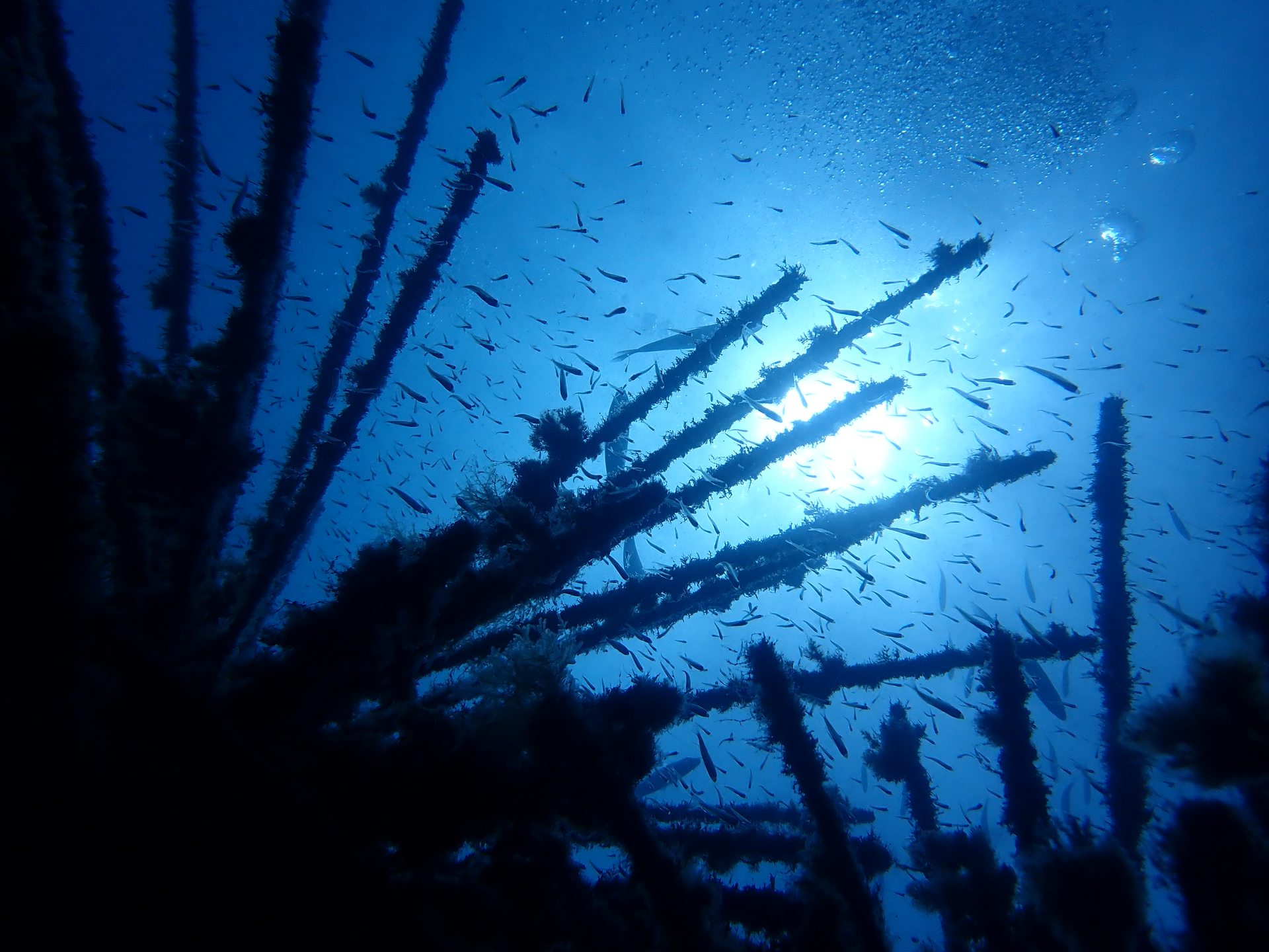 Museo Atlantico photo 3