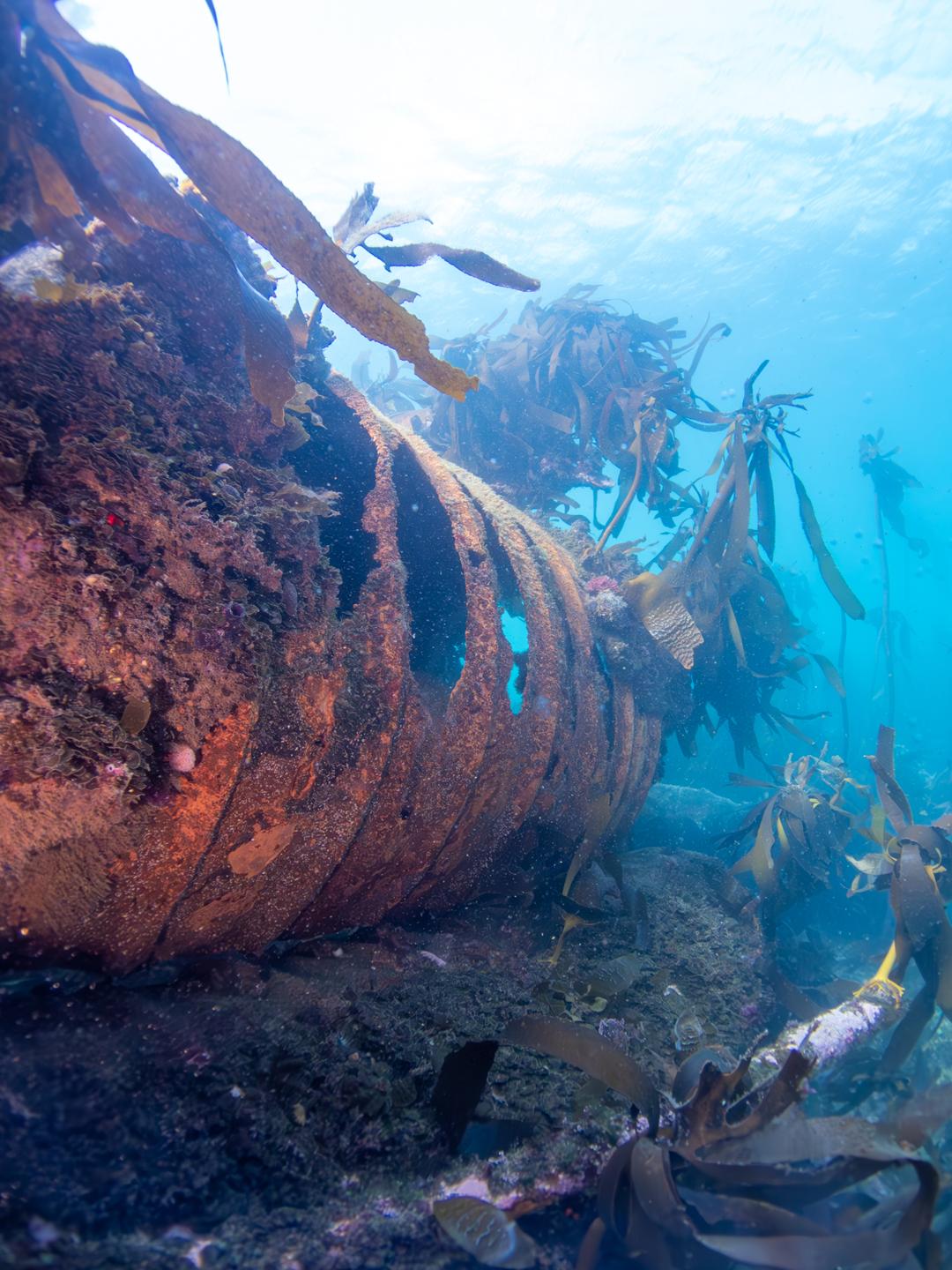 SS Clan Stuart photo 6