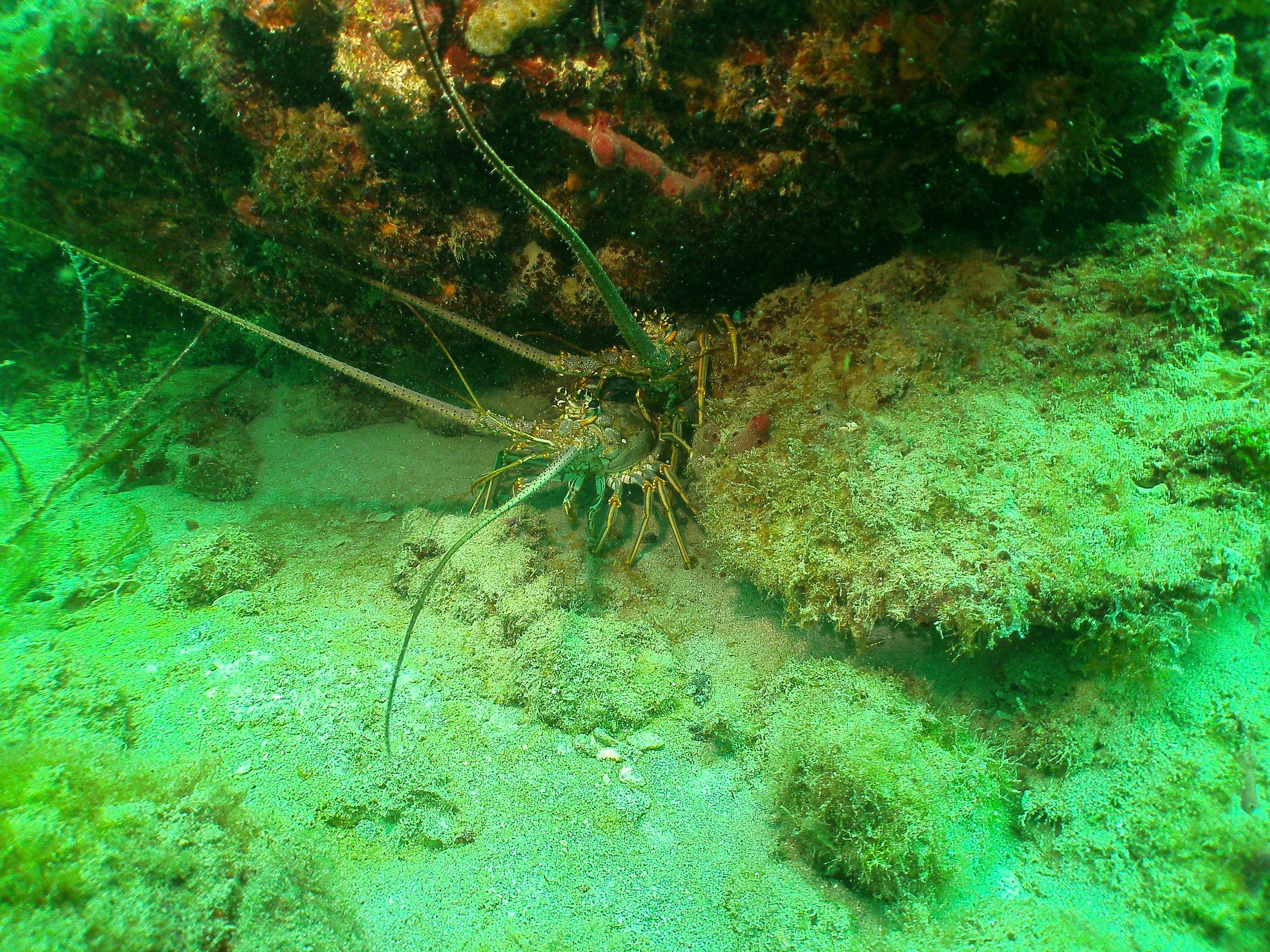 The Caves photo 2