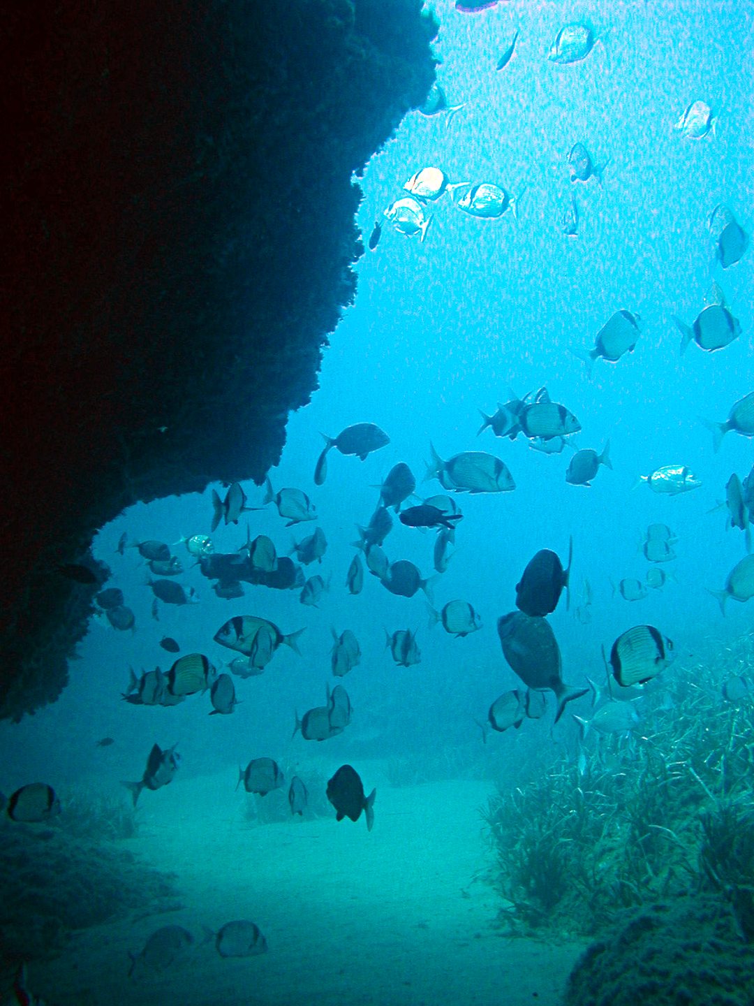 El Acuario II photo 2