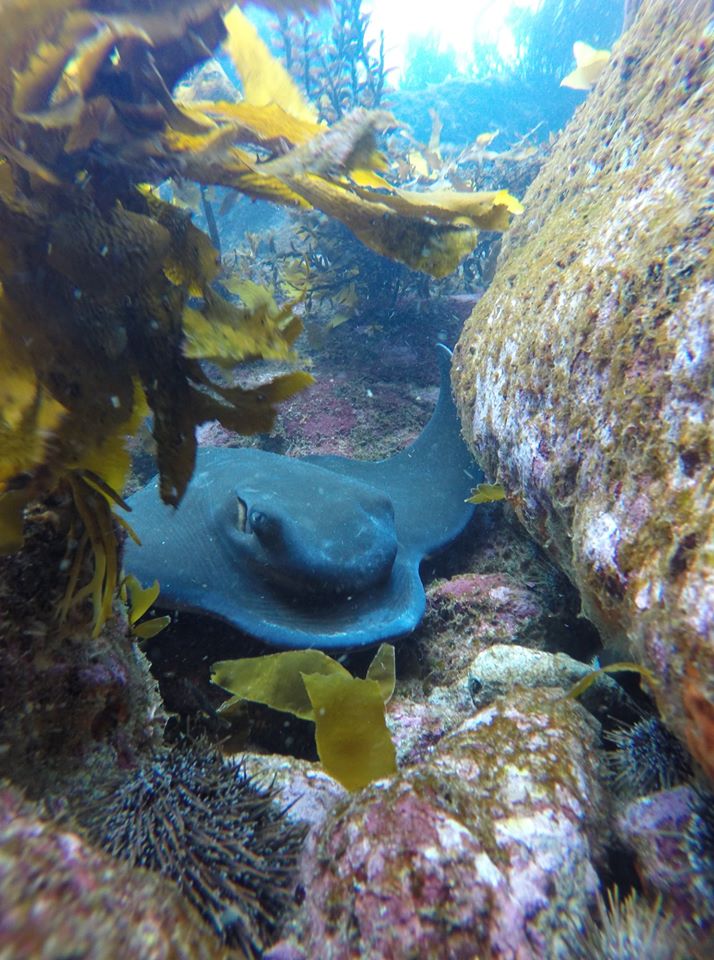 Spectacle Reef