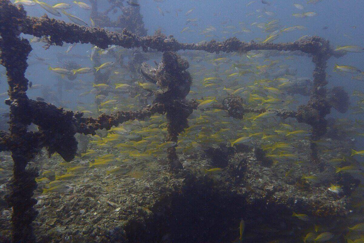 HTMS Kled Keaw Ship Wreck photo 4