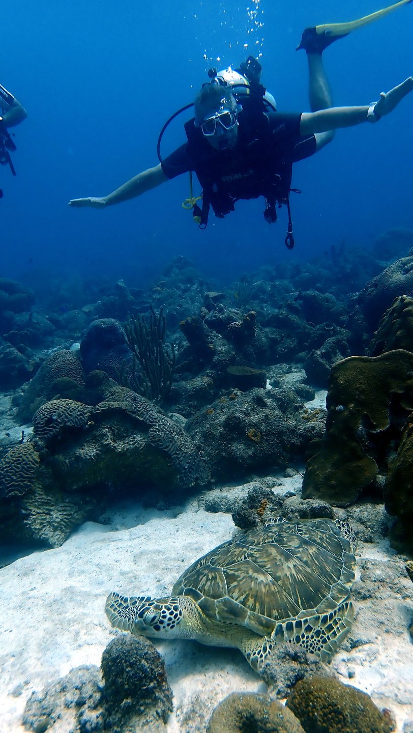 Double Reef photo 2