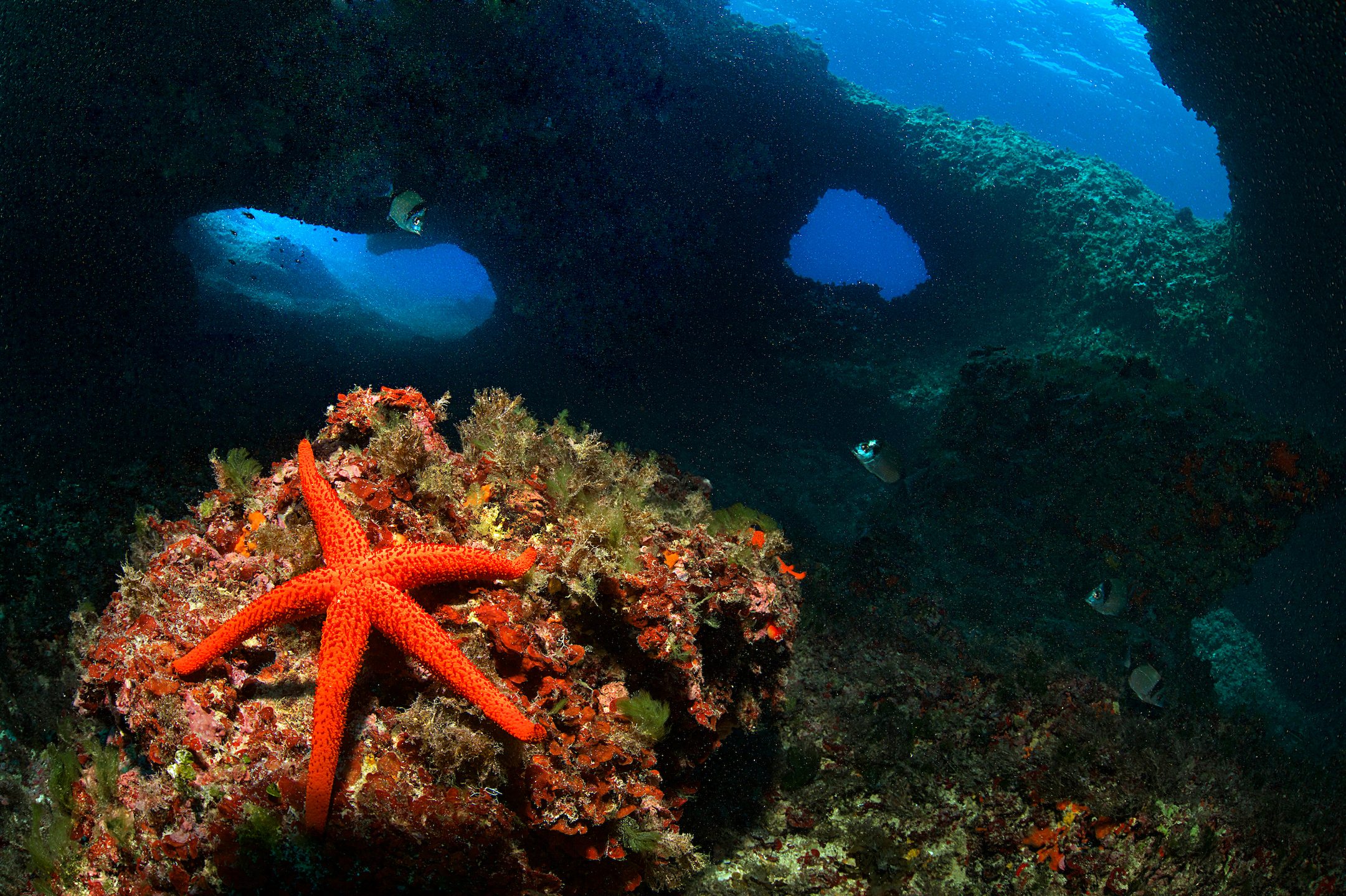 Agujeros Azules photo 3