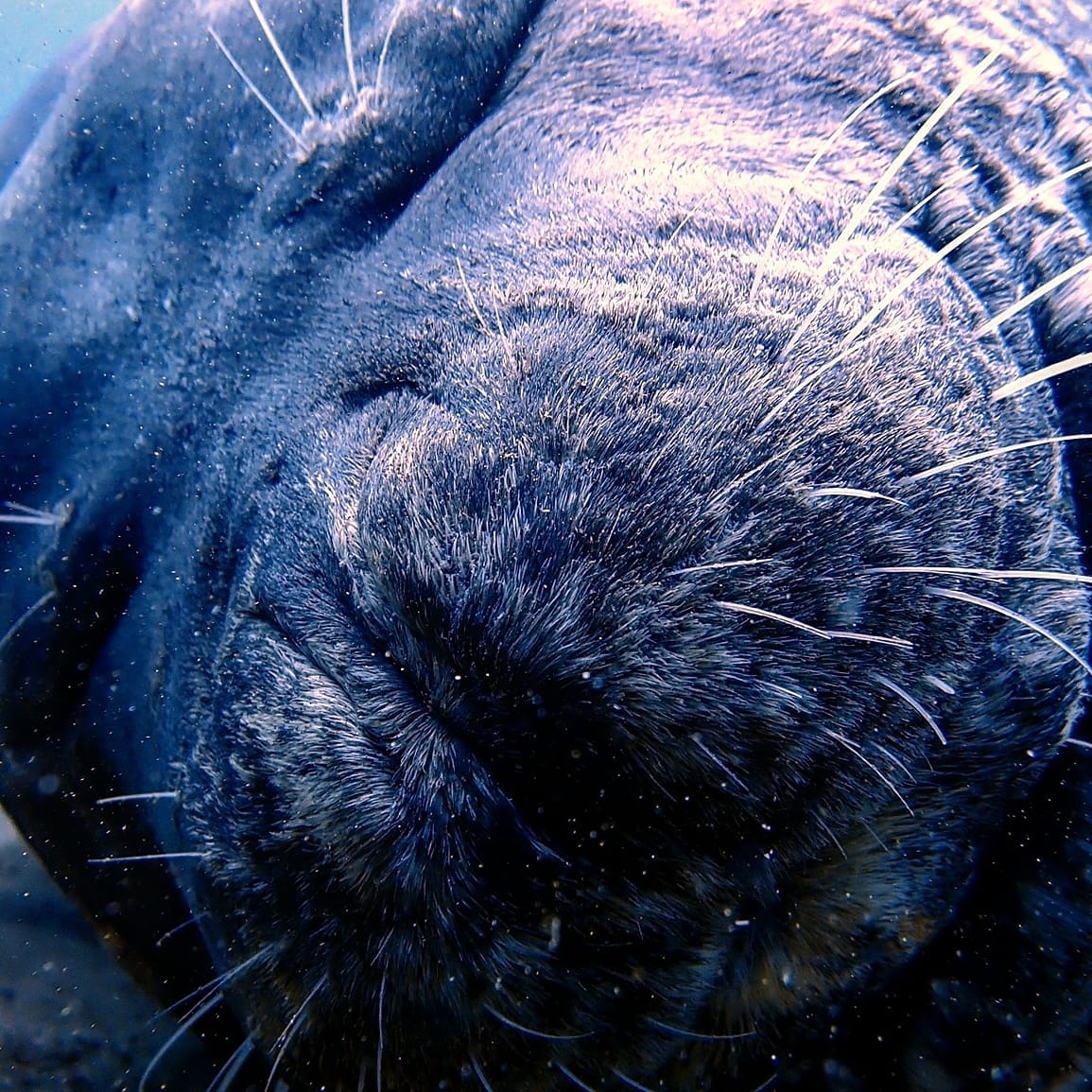 Parede do Sardinha photo 2