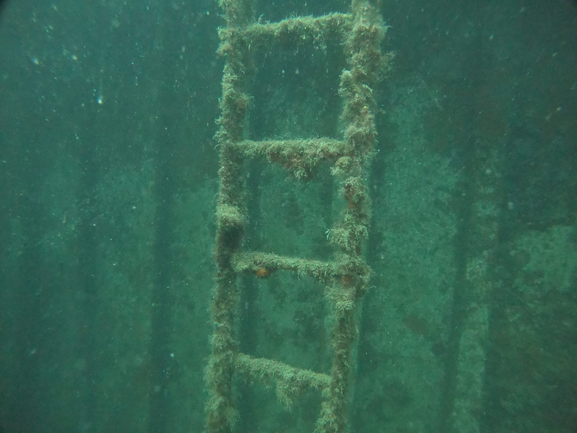 Cretaland Shipwreck