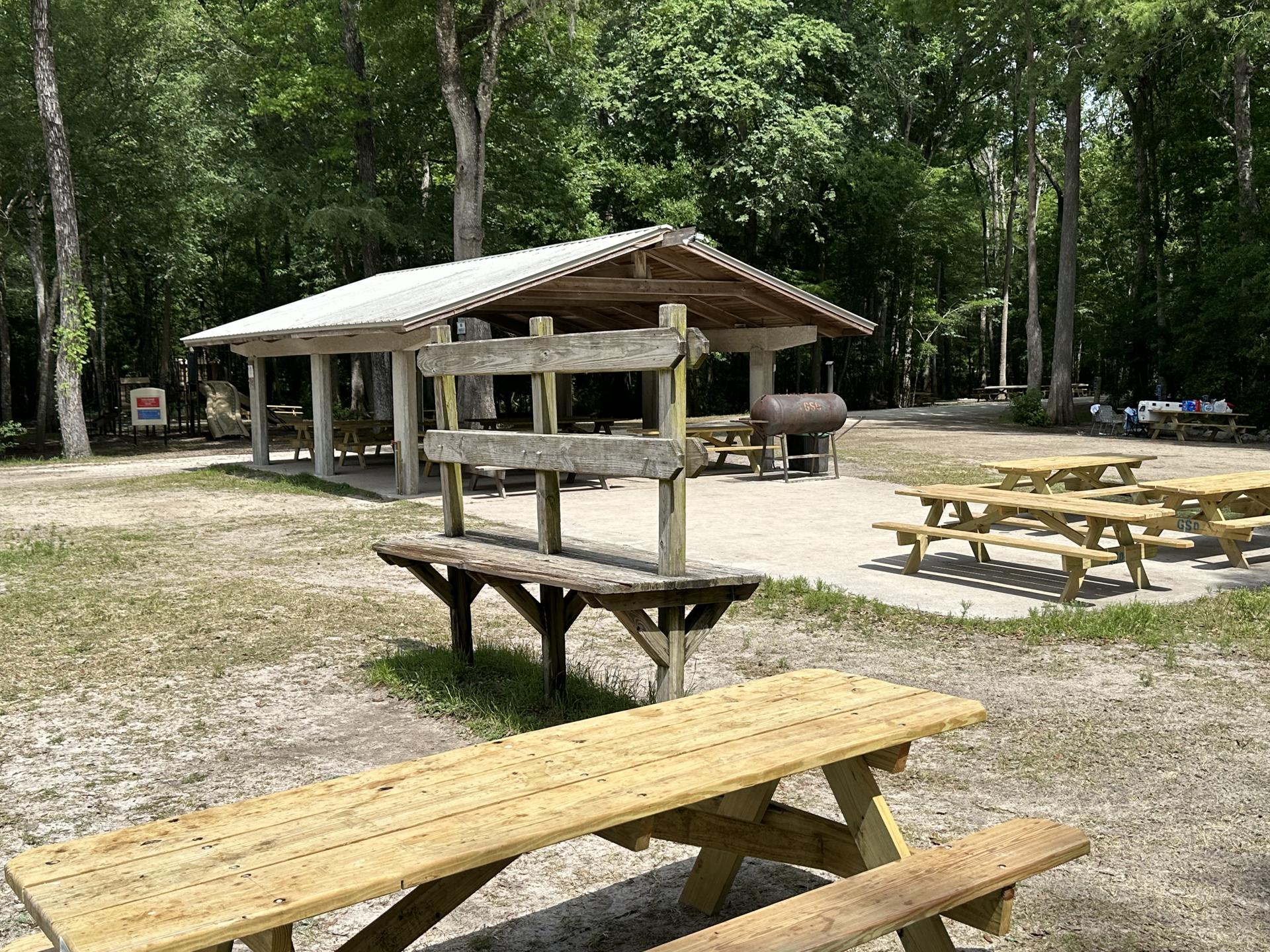 Ginnie Springs photo 2