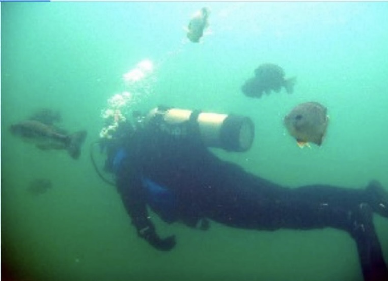 The Scuba Ranch photo 10