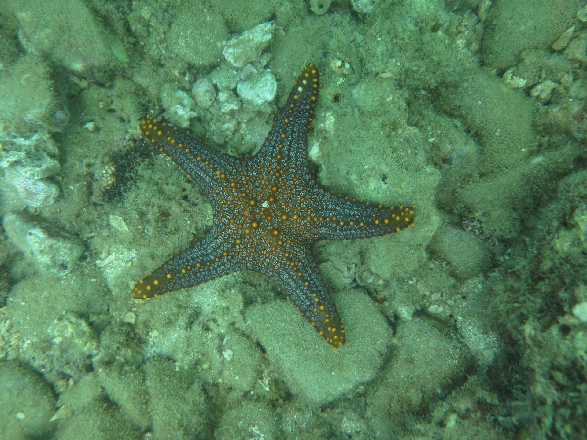 Cemetery Bay photo 4