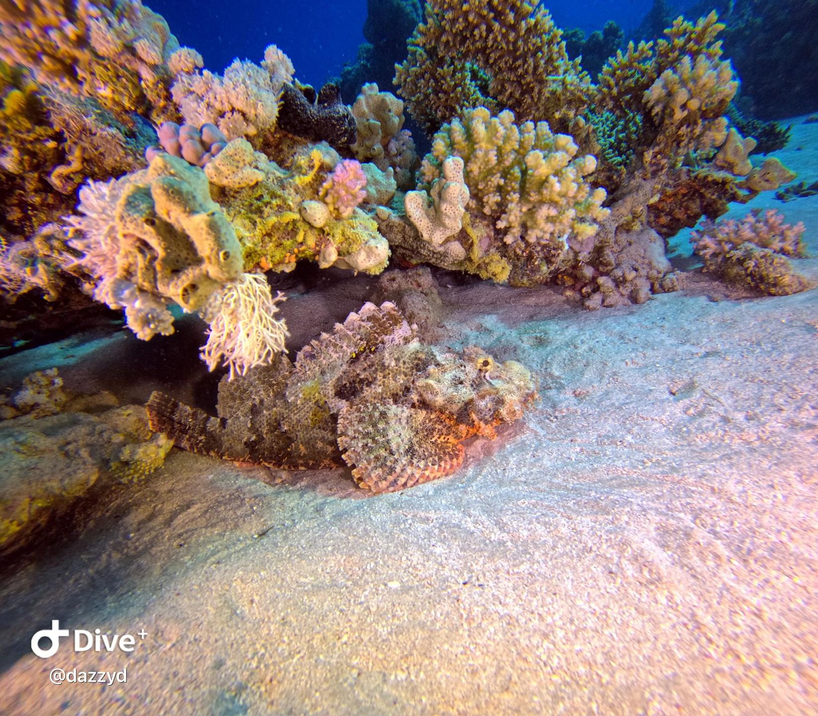 Ras Ghamila photo 4