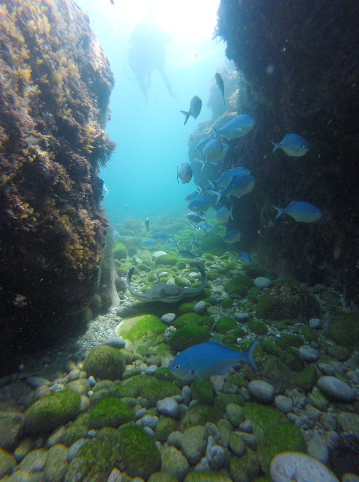South Sunk photo 2