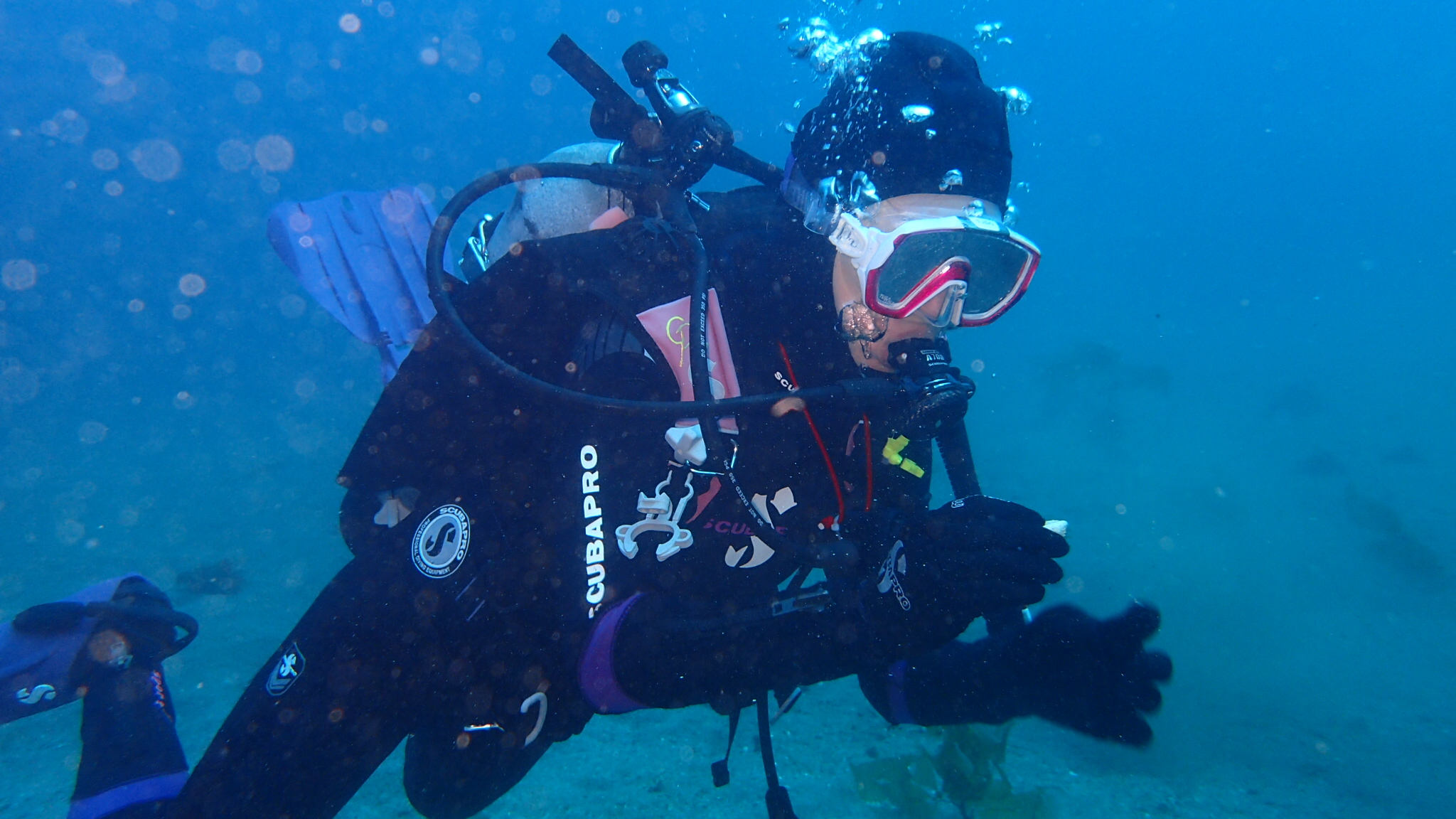 Catalina Island photo 4