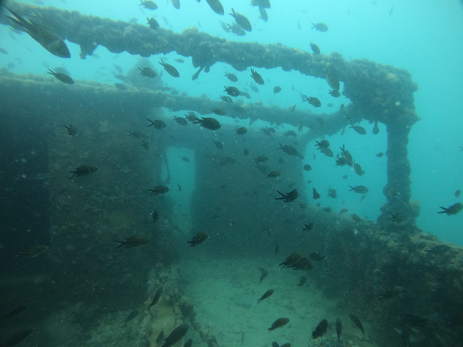 Cretaland Shipwreck photo 2