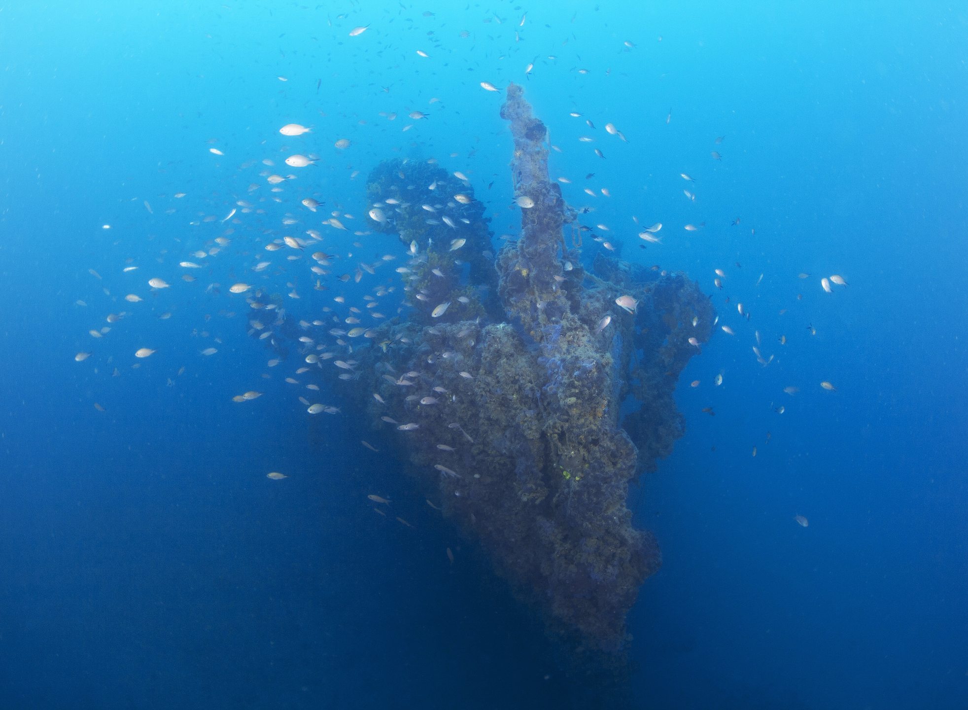 Tihani Shipwreck photo 9