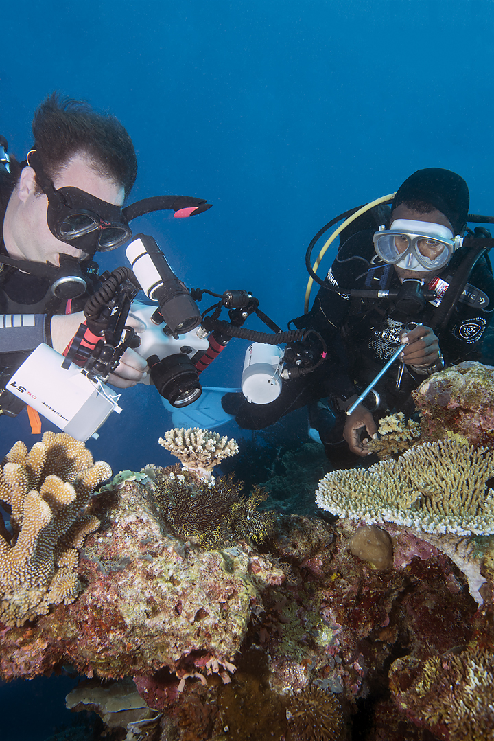 Barracuda Point photo 4