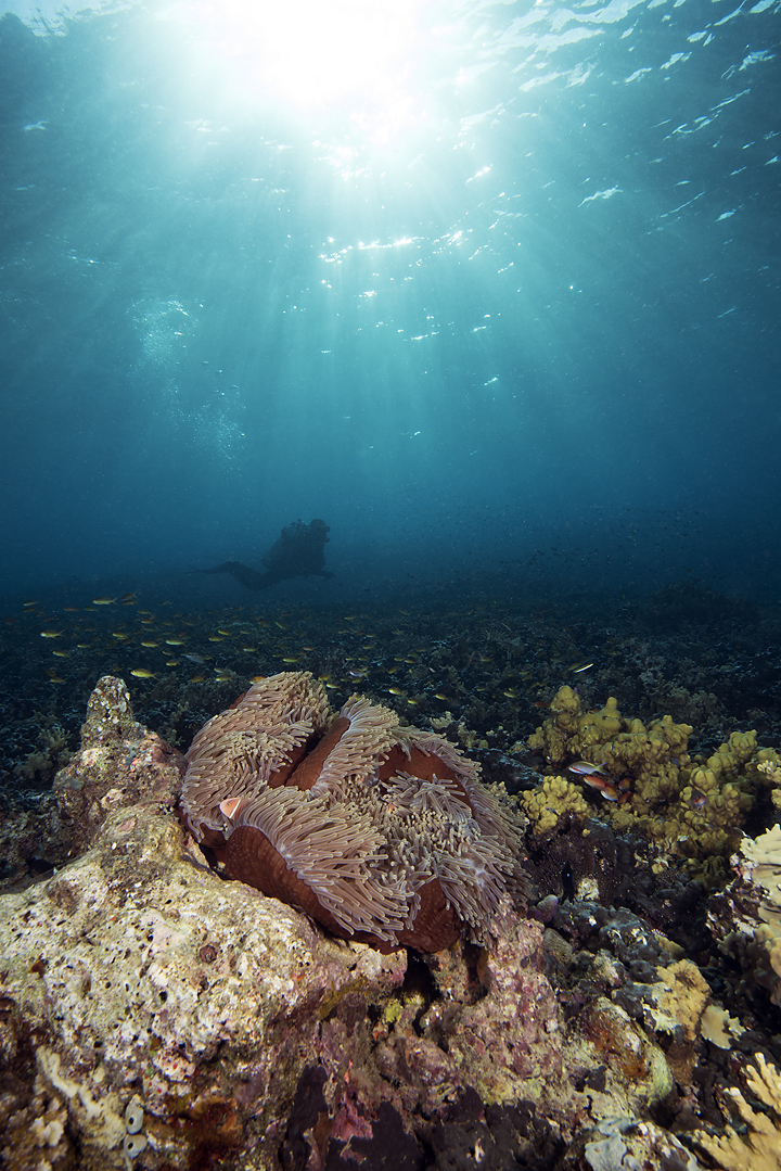 Barracuda Point photo 3