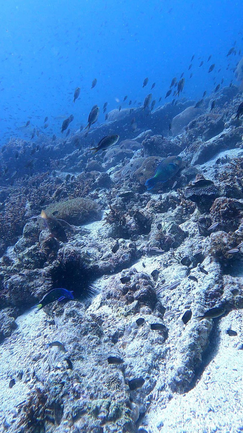 Aquarium photo 14