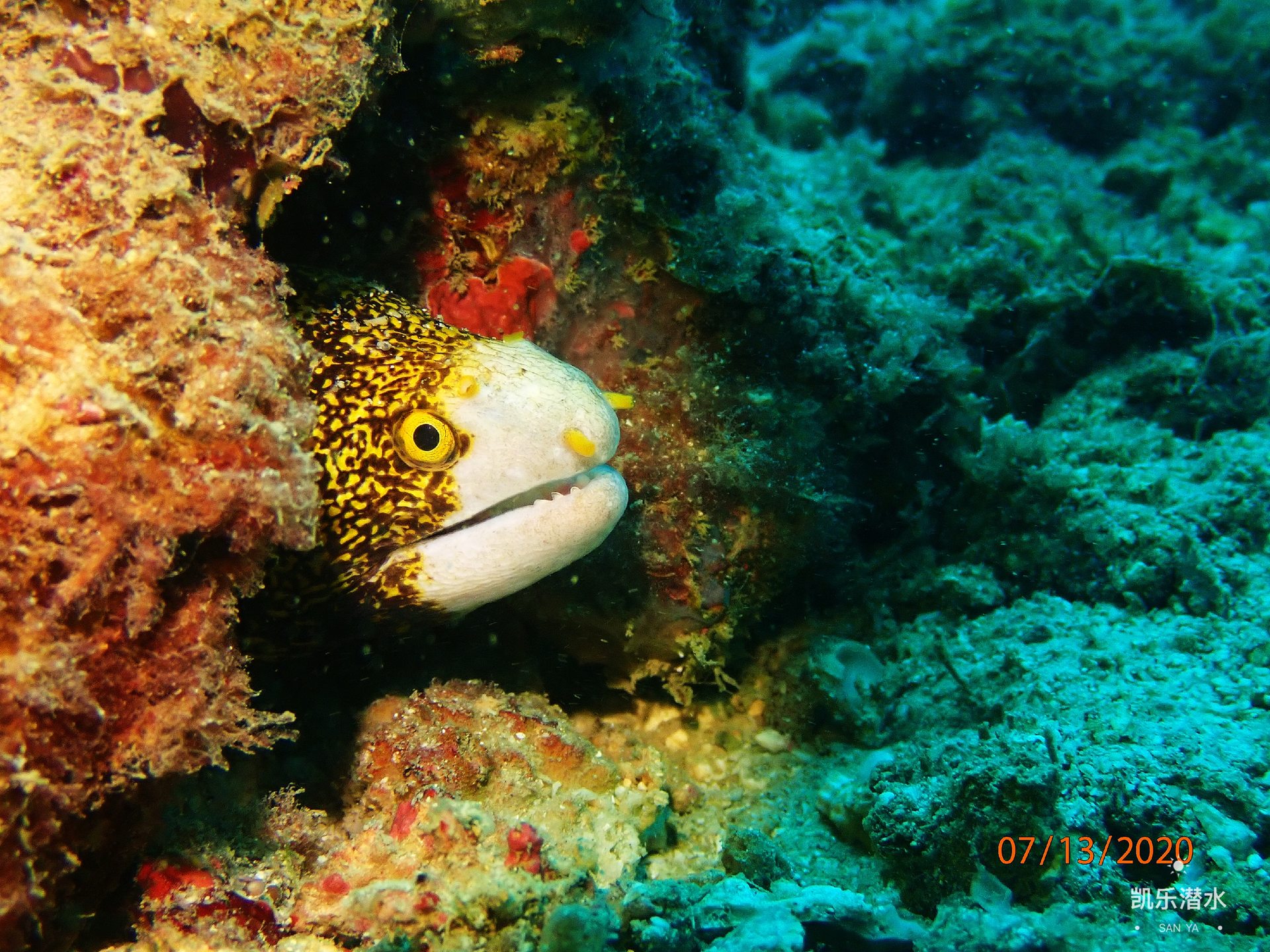 百福湾 photo 15