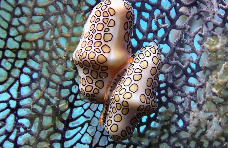 Aquarium photo 2