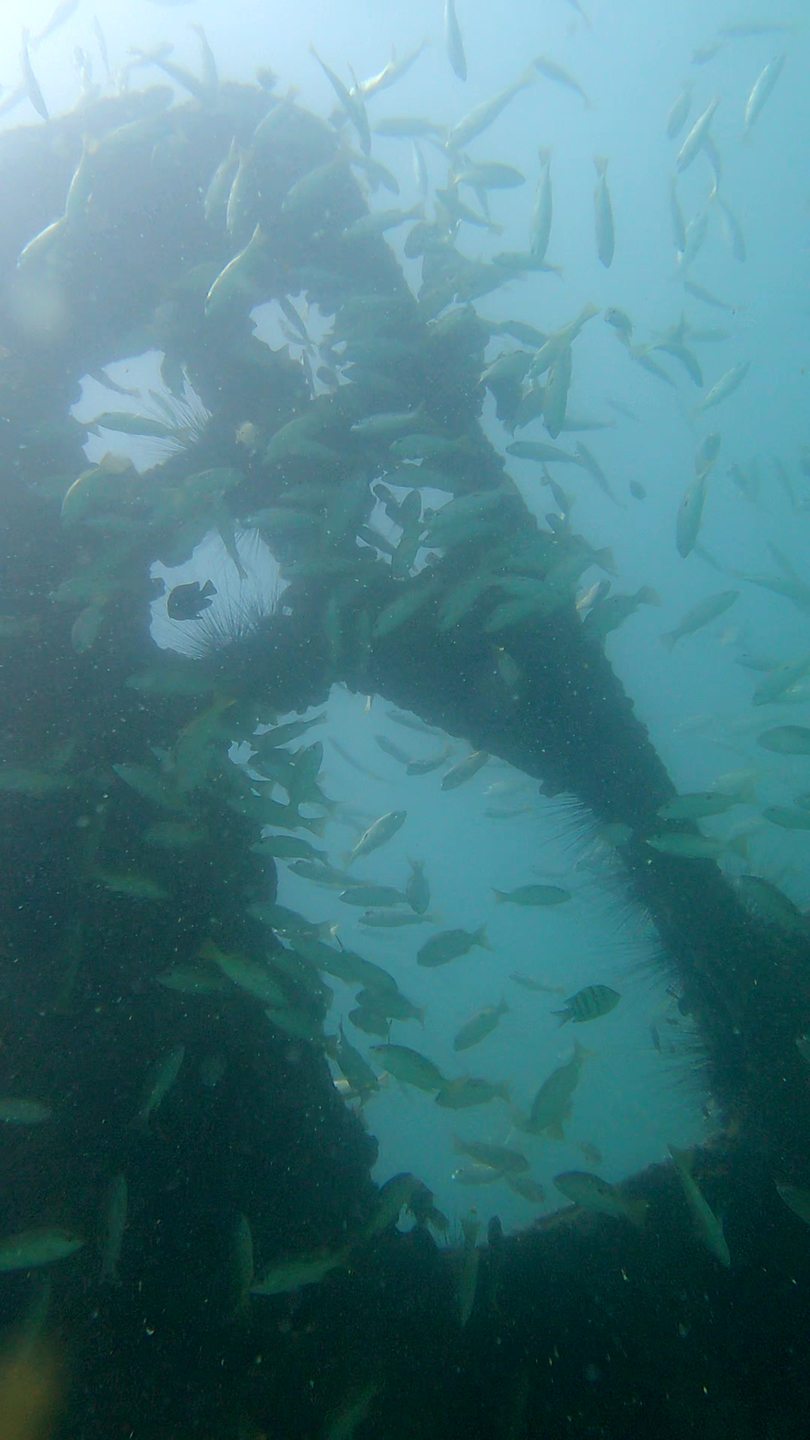 Humsi Wreck photo 4
