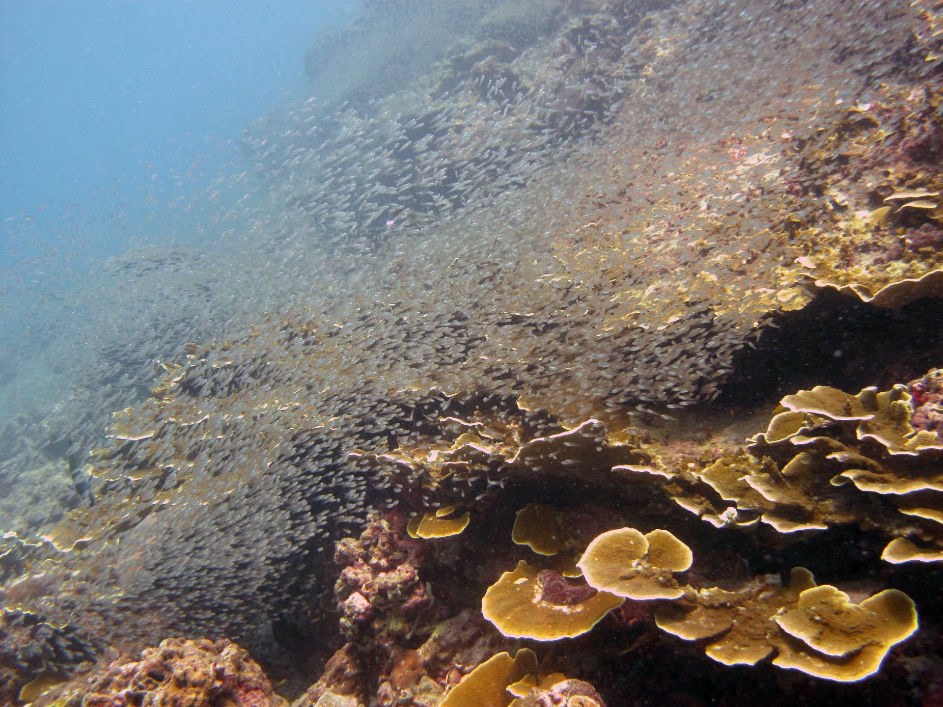 Koh Ha Lagoon photo 3