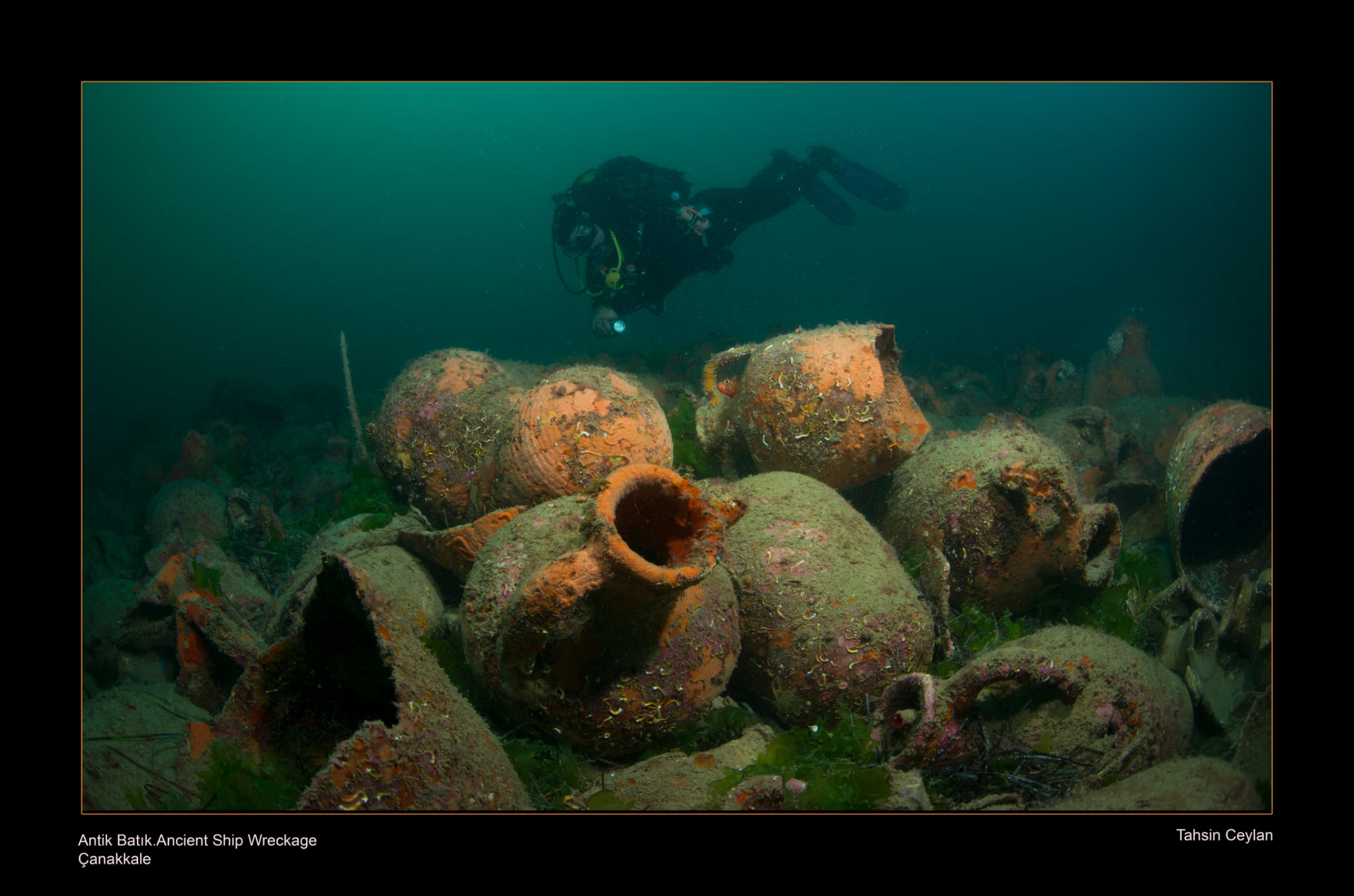 ANTIQUE WRECK
