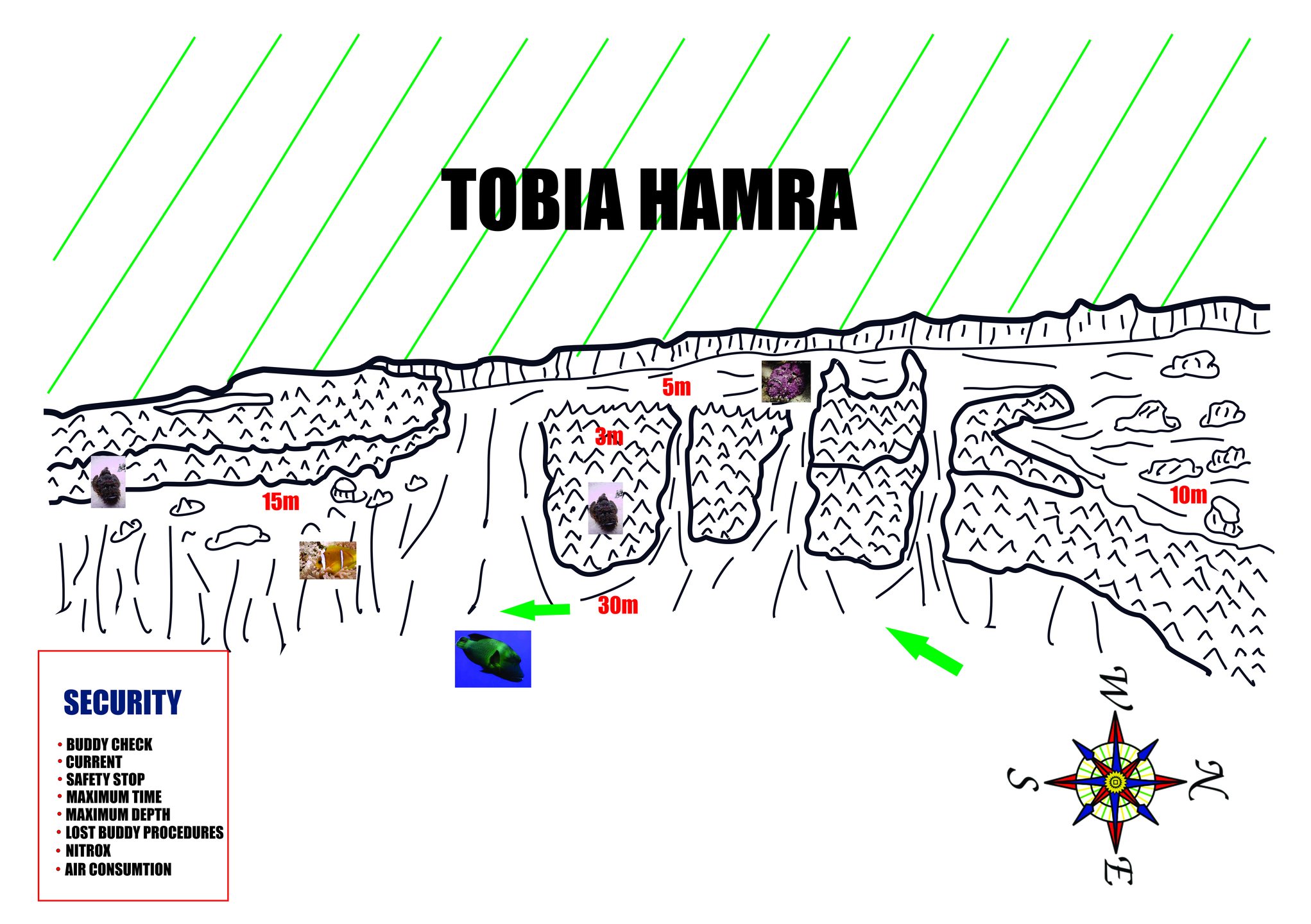 Tobia Hamra photo 3
