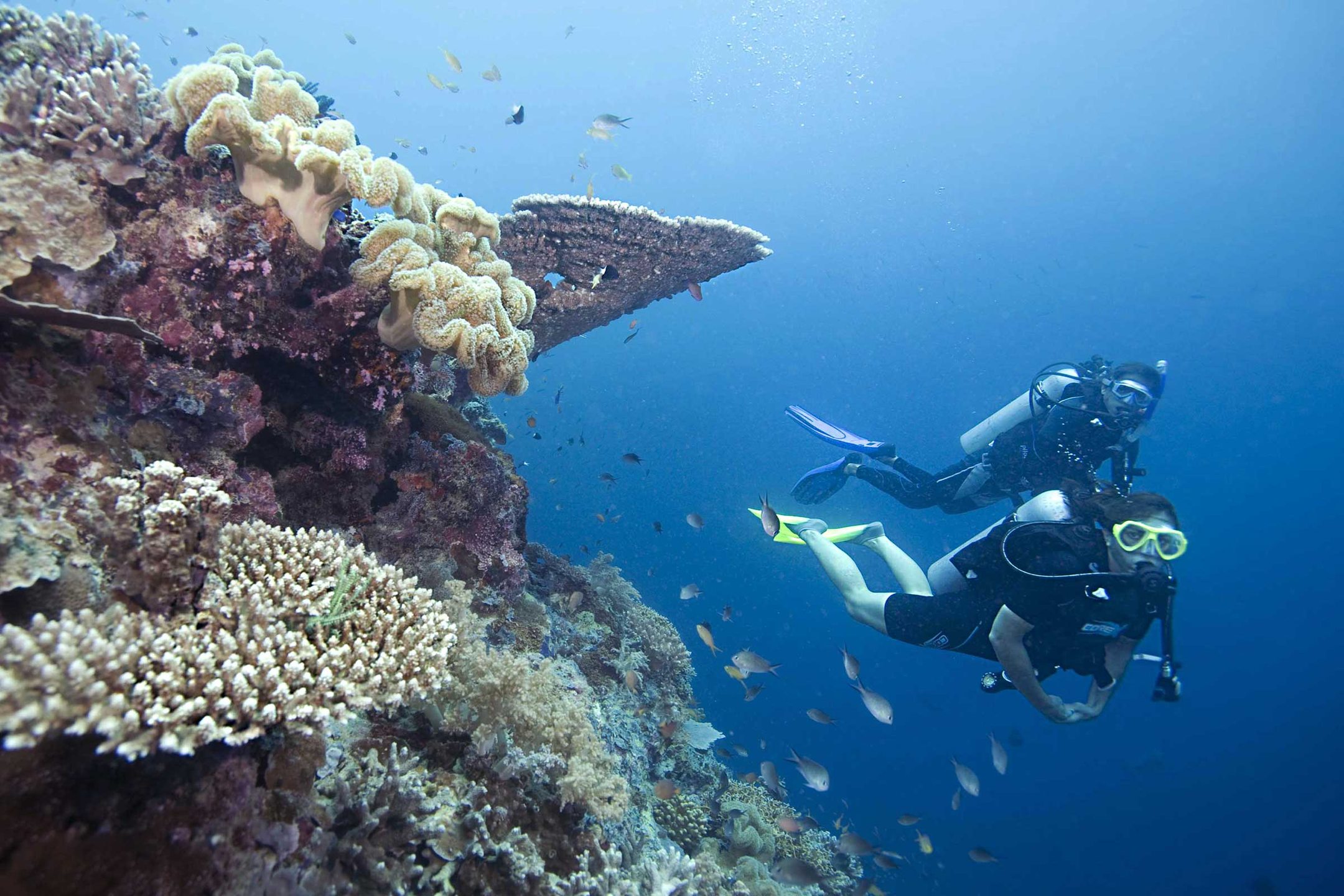Chebeh Island photo 4