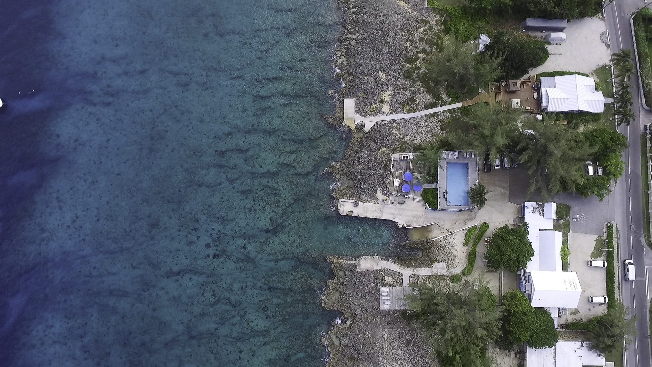 Casuarina Point Reef Don Foster's Dive House Reef photo 2