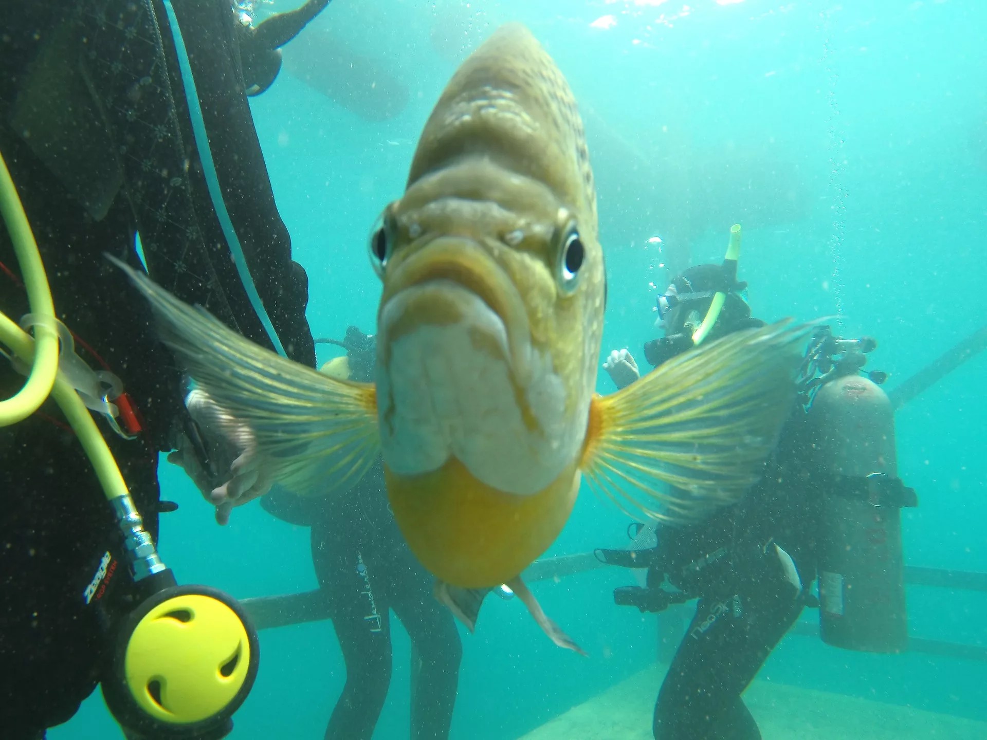Blue Water Park photo 3