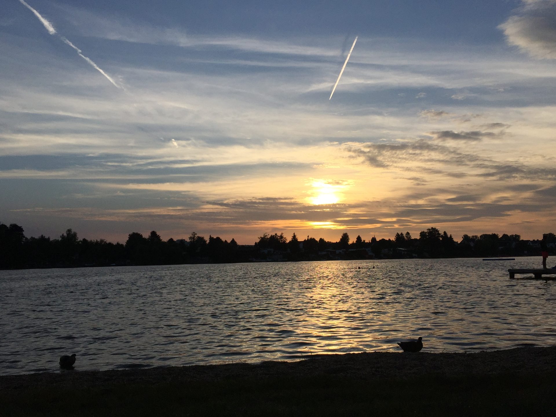 Neufelder See - Ostseite photo 2