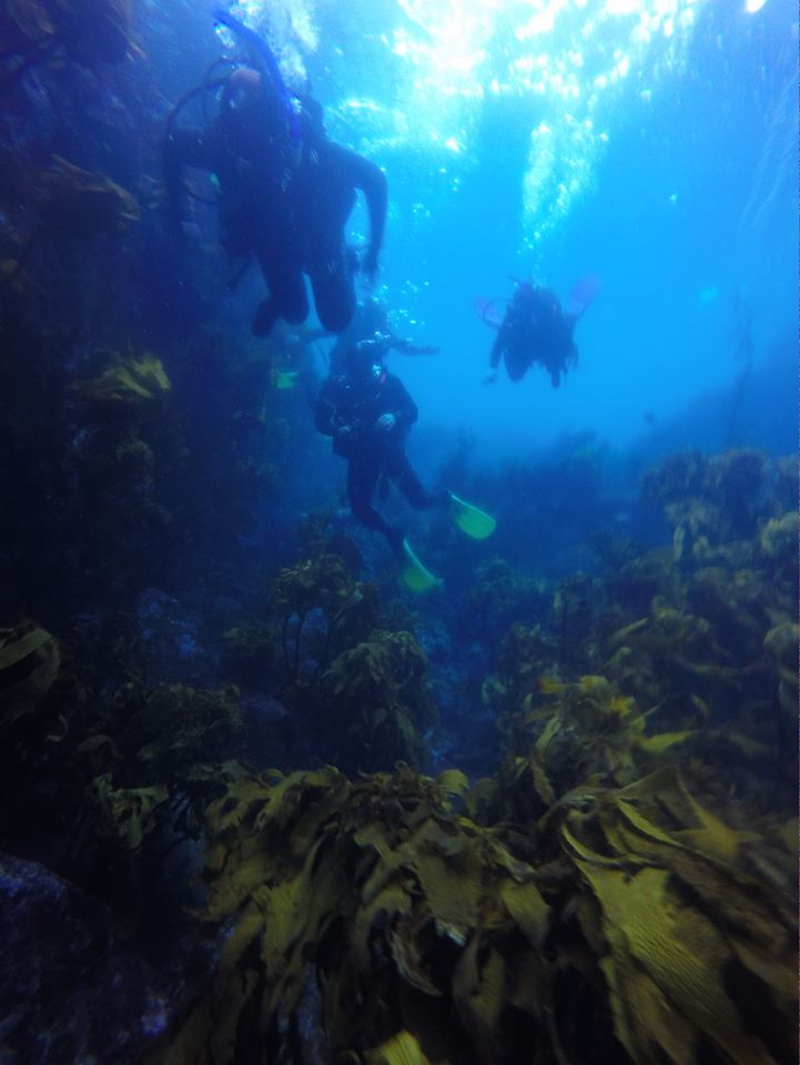 South Sunk