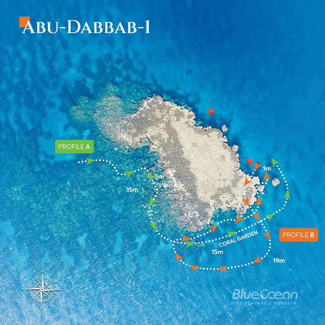 Abu Dabbab 1 Dive Site photo 2