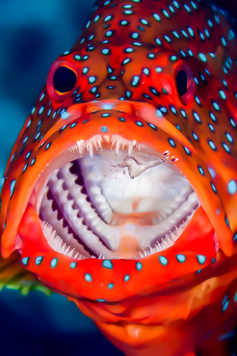 Near Garden