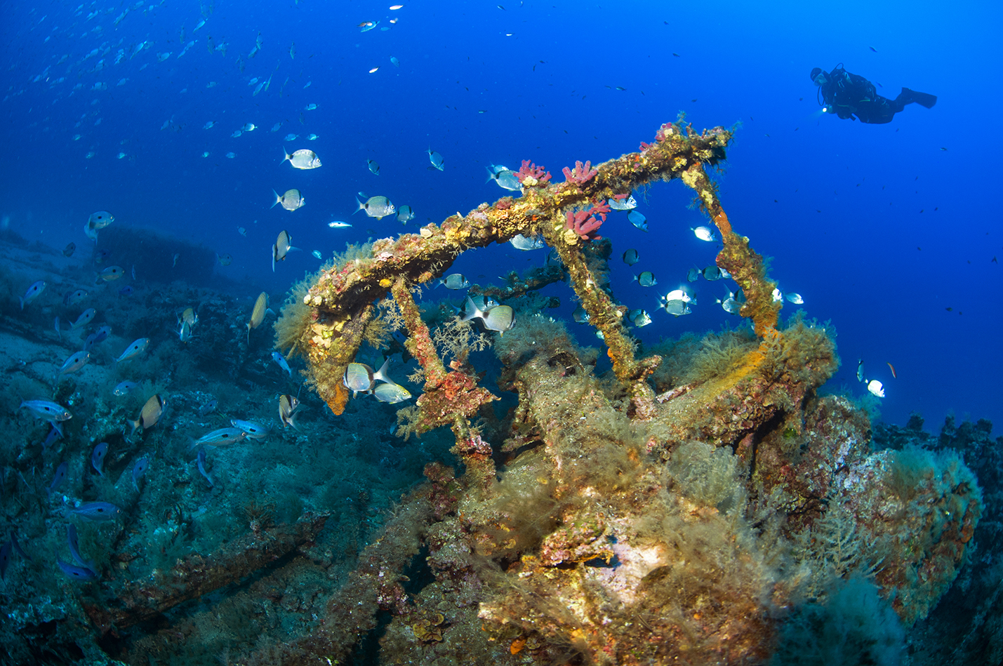 Oued Yquem Wreck photo 2