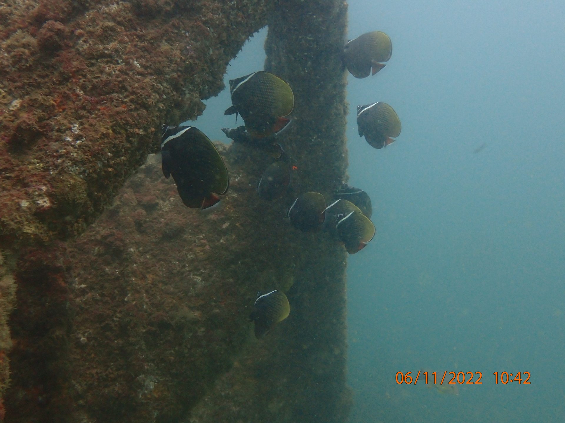 Suzy's wreck