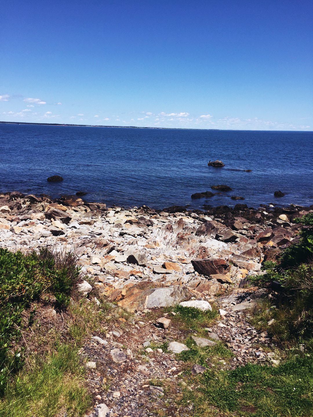 Bear Cove photo 2
