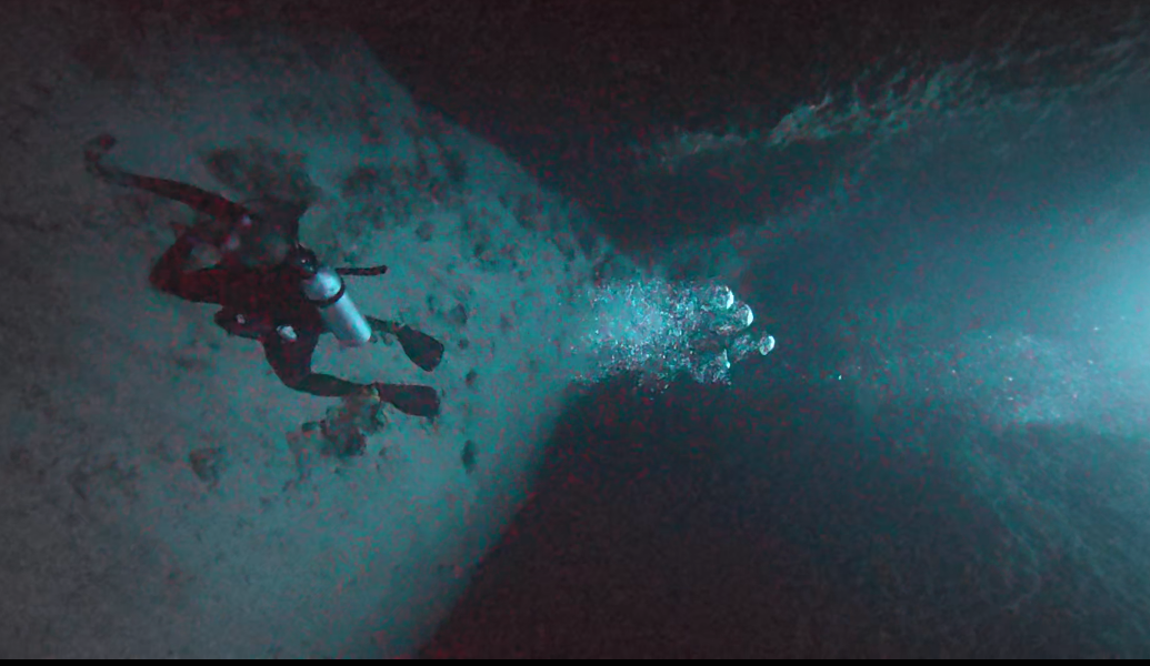 YANI Shark Agatti photo 2