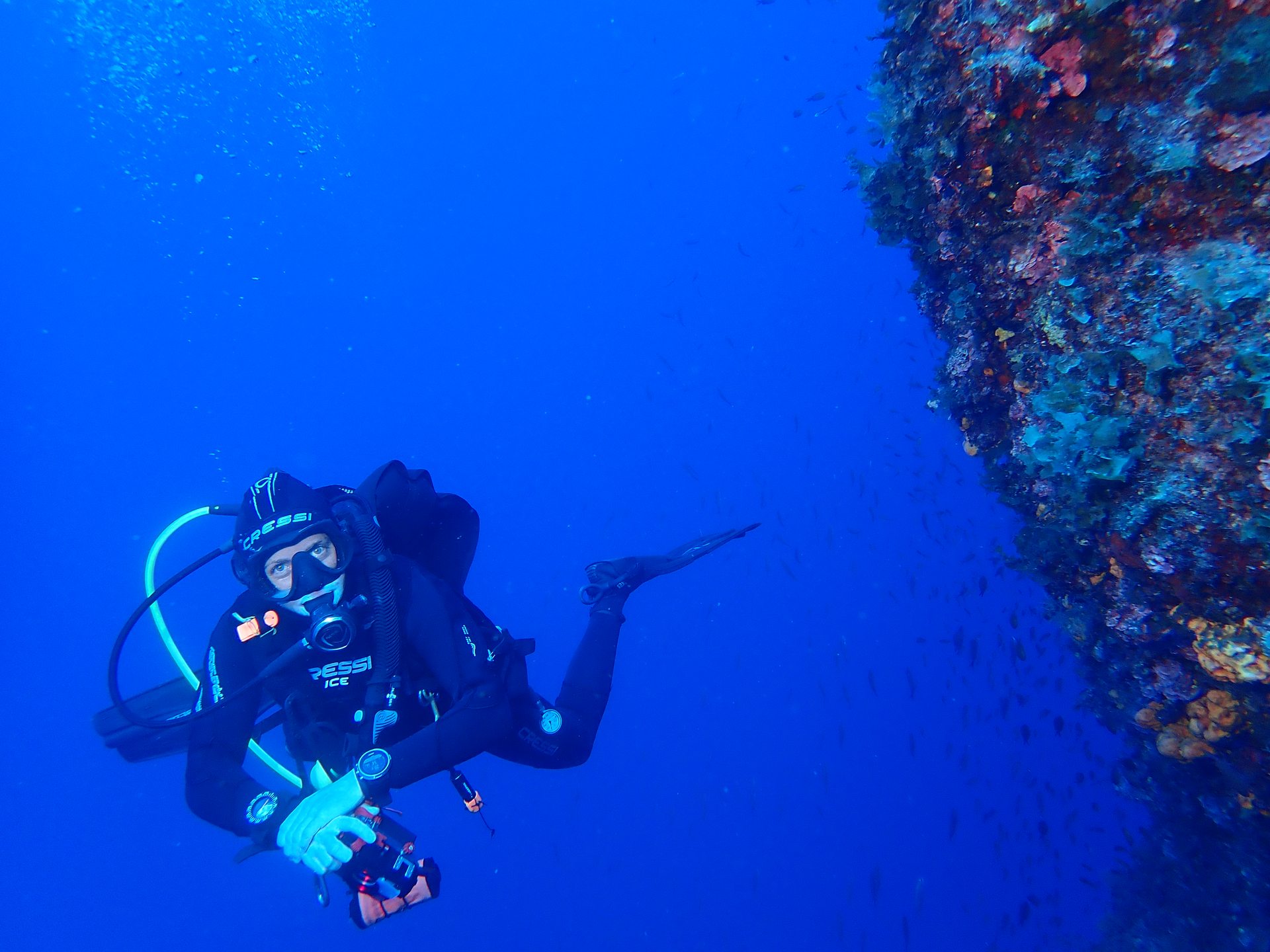 Pachia reef photo 16