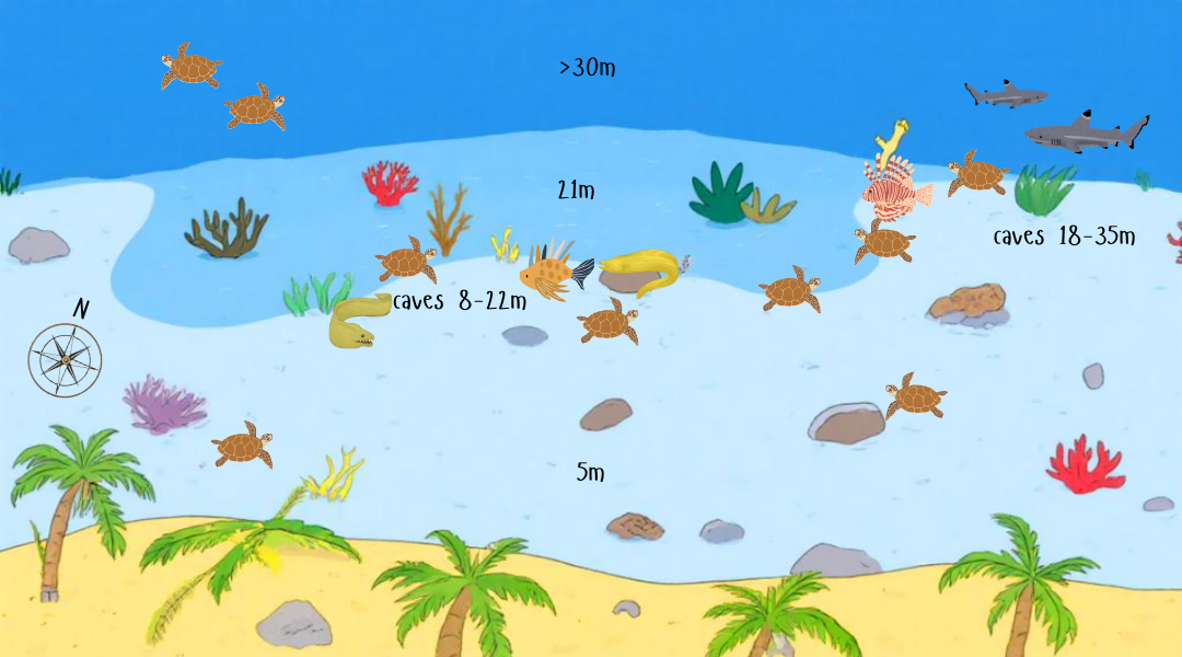 Kuredu Caves (Turtles airport)