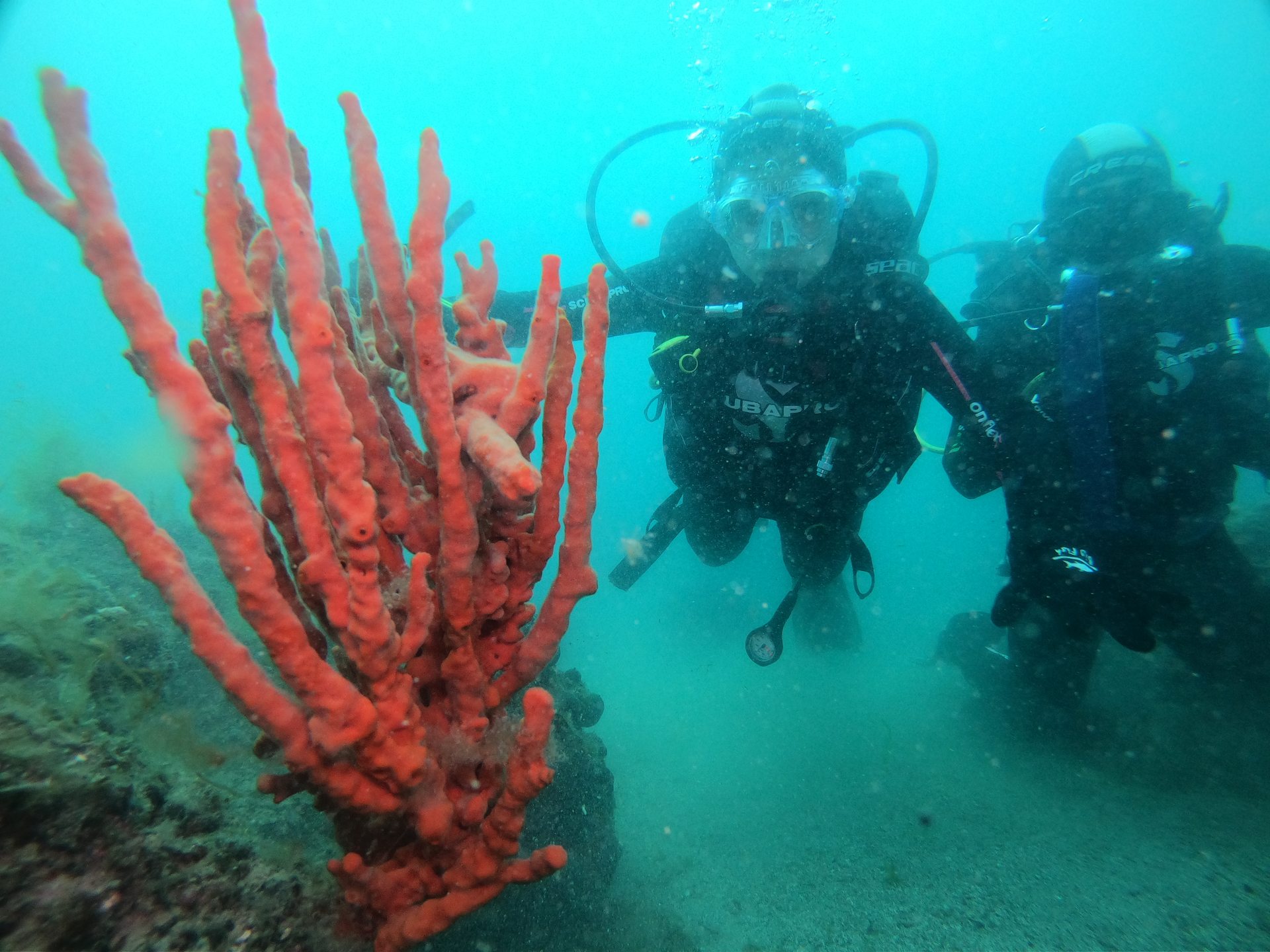 Limni reef 2 photo 2