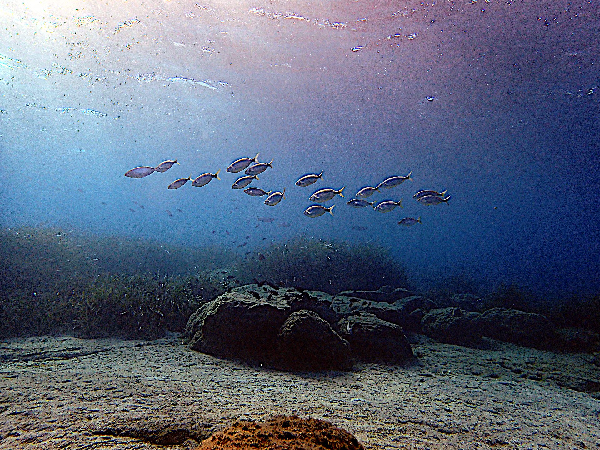 3 - ROCKS photo 16
