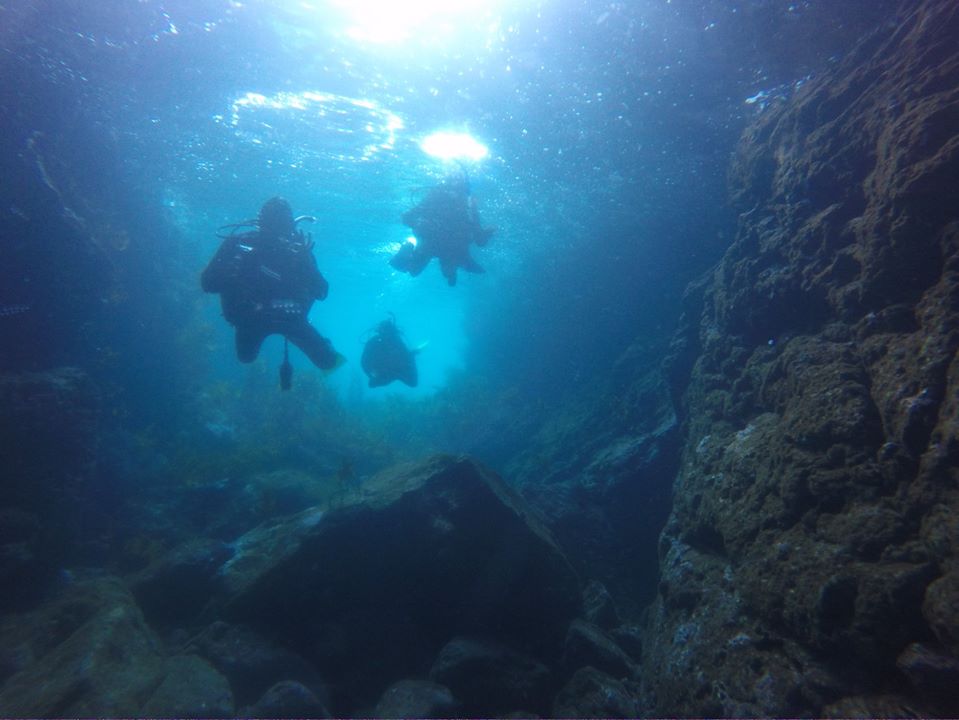 Cave Bay photo 2