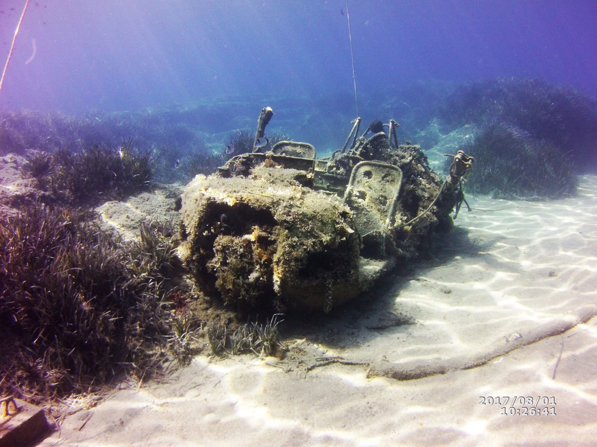 Akrotiri Fish Reserve photo 2
