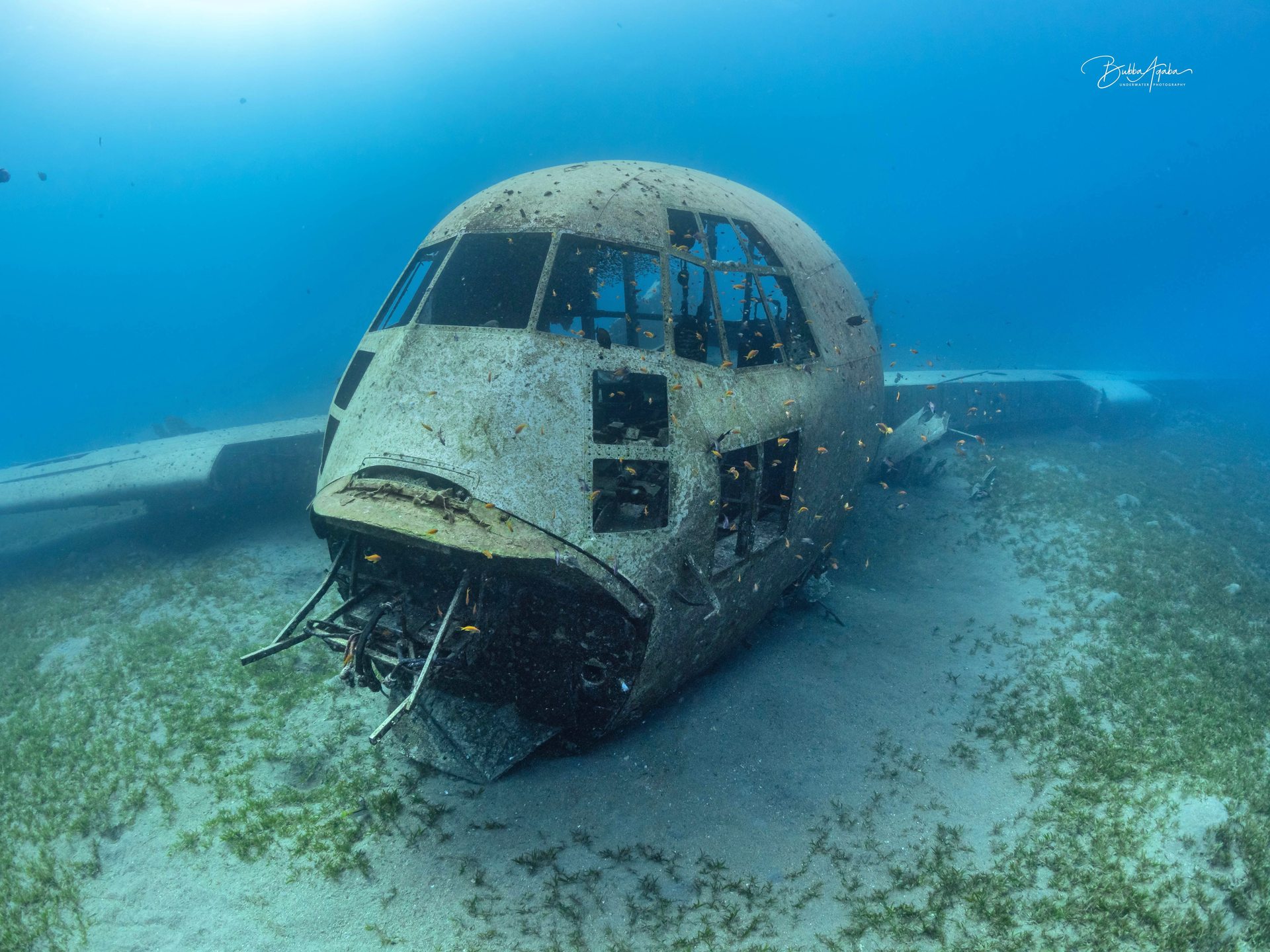 C-130 Hercules Plane Wreck