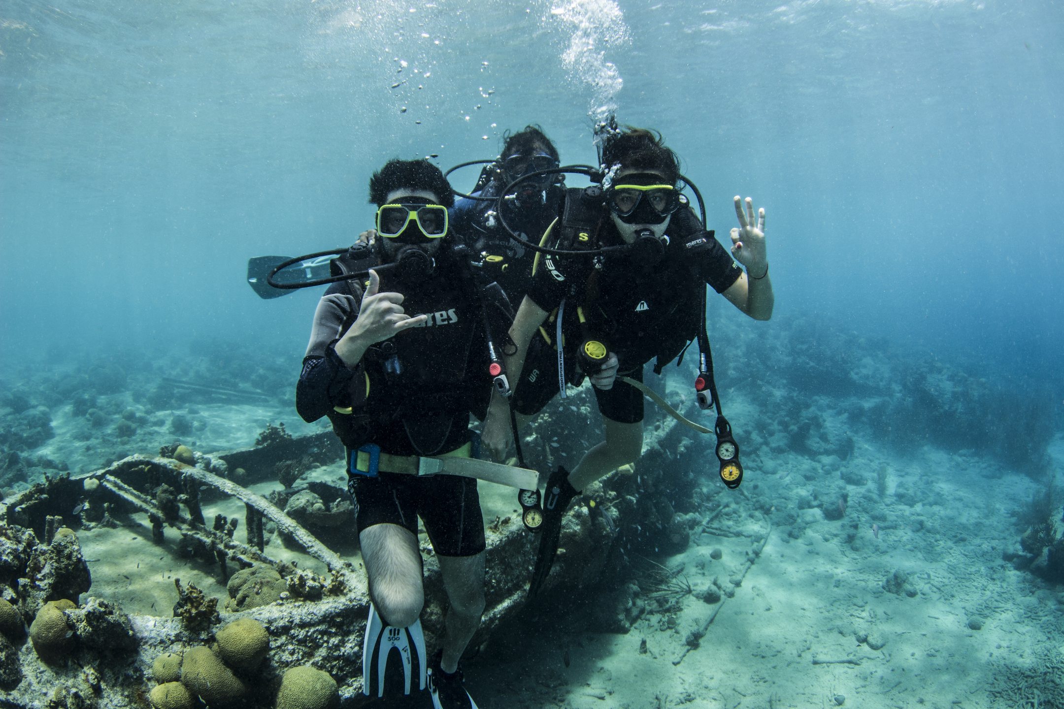 Tugboat Housereef of CURious 2 DIVE photo 3