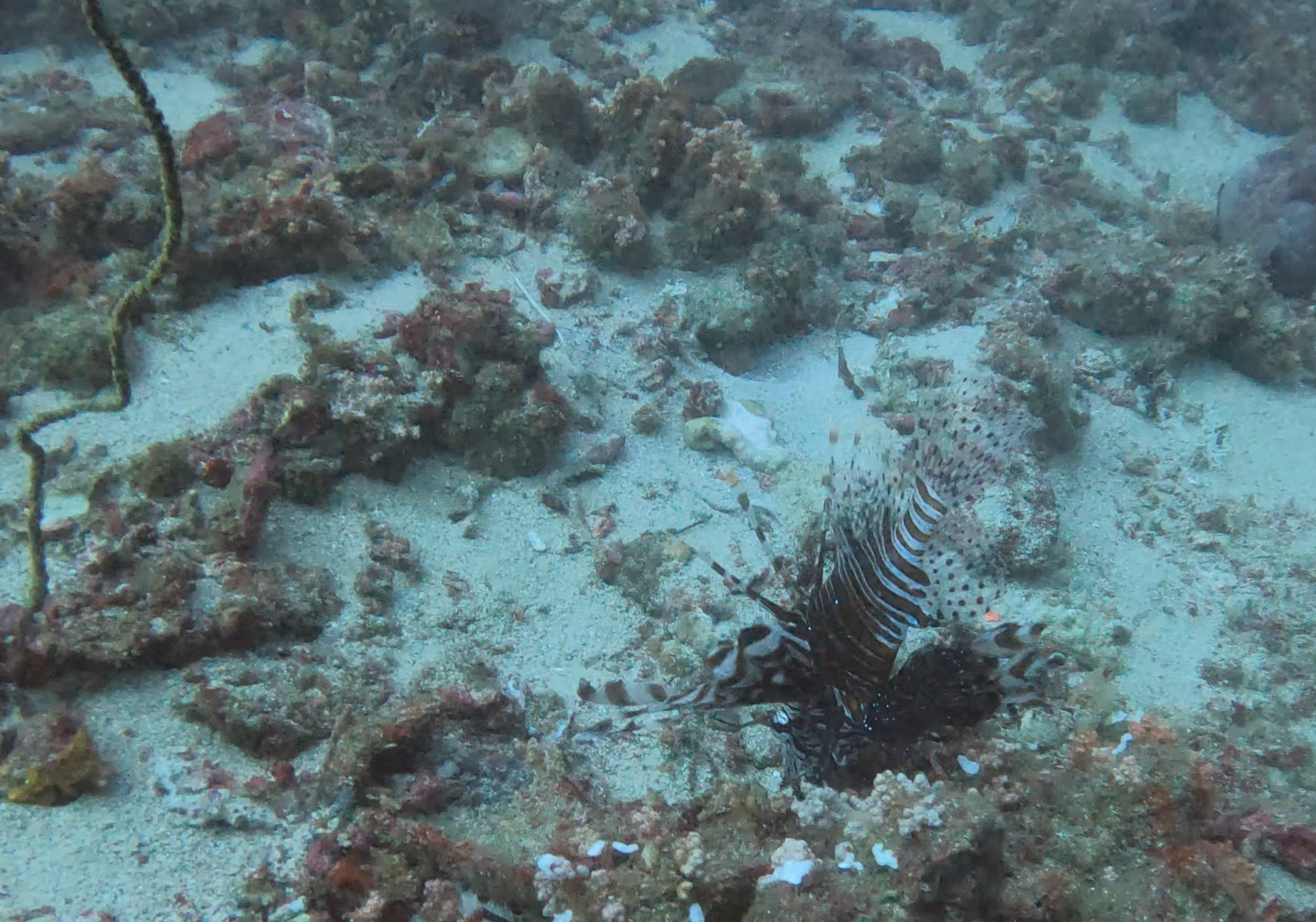 Atoll photo 3