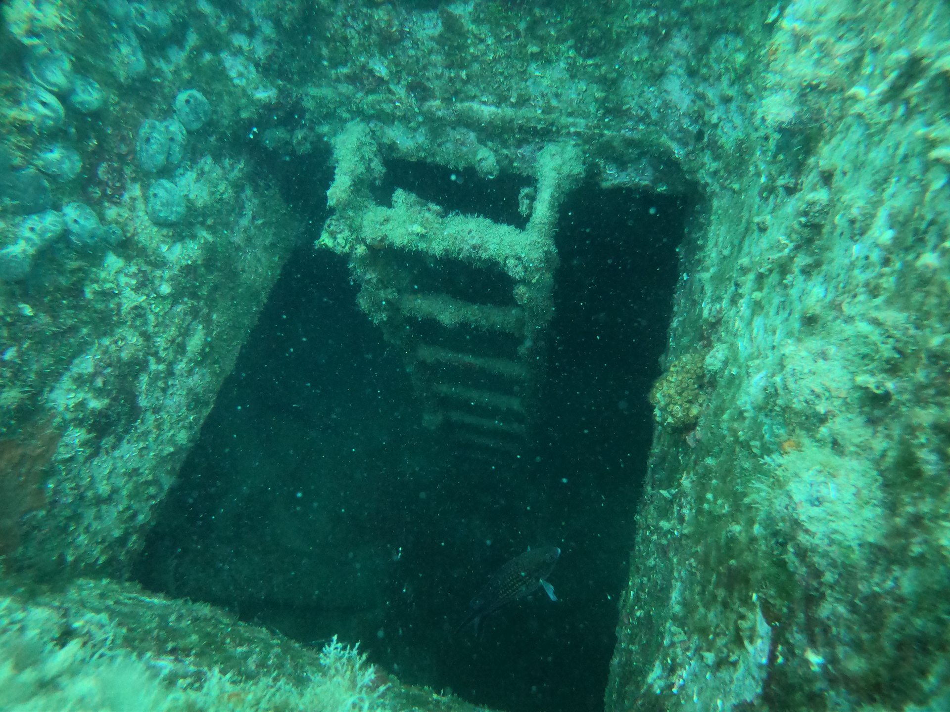 Cretaland Shipwreck photo 6